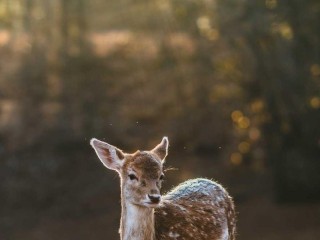 featured-yacht-charter-palm-marina