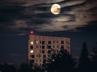 Luxury Sports Car - Premium Model 1042