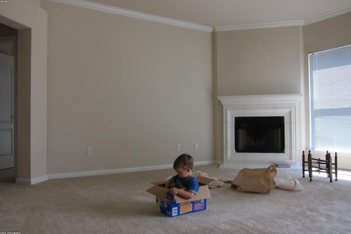 Luxury Coupe - Premium Model 4098