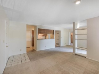 Luxury Convertible - Premium Model 8388