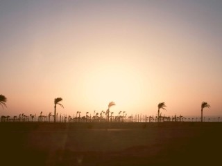 Luxury Convertible - Premium Model 1562