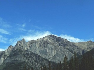 Luxury Villa in UAE 2981