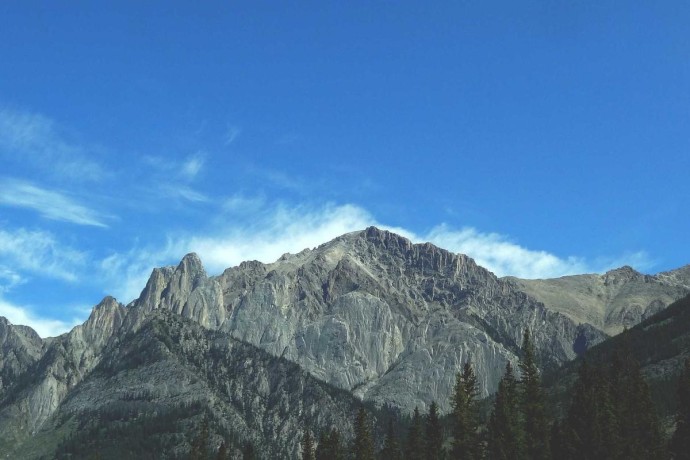 Luxury Villa in UAE 2981