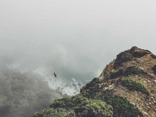 Luxury Apartment in UAE 8676