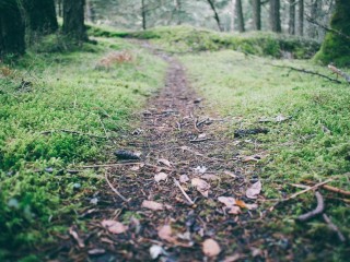 Luxury Apartment in UAE 1438