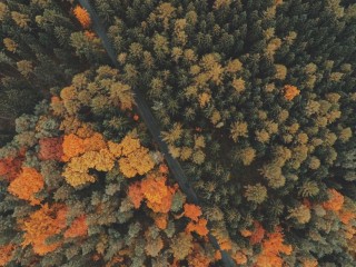 Luxury Estate in UAE 6583