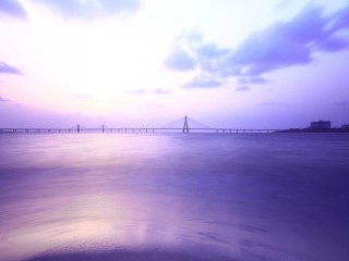 Luxury Villa in UAE 7290