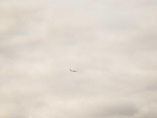 Luxury Van - Cars #3140