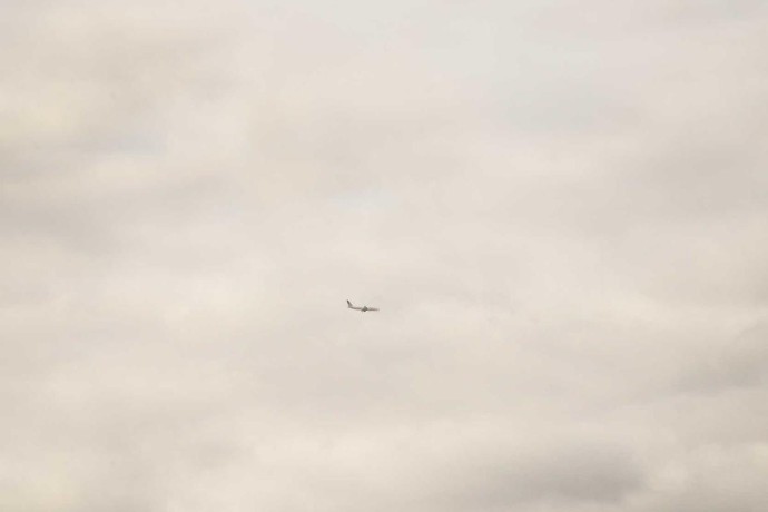 Luxury Van - Cars #3140