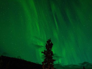 Premium SUV - Cars #3711