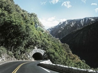 Performance Vehicle - Cars #9608