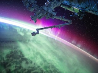 Performance Vehicle - Cars #9608