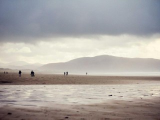 Luxury Sports Car - Buses & Minibus #4911