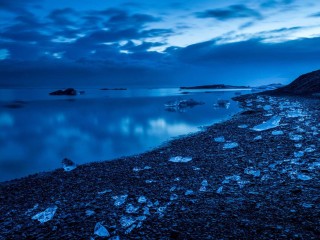 Executive Sedan - Buses & Minibus #5980