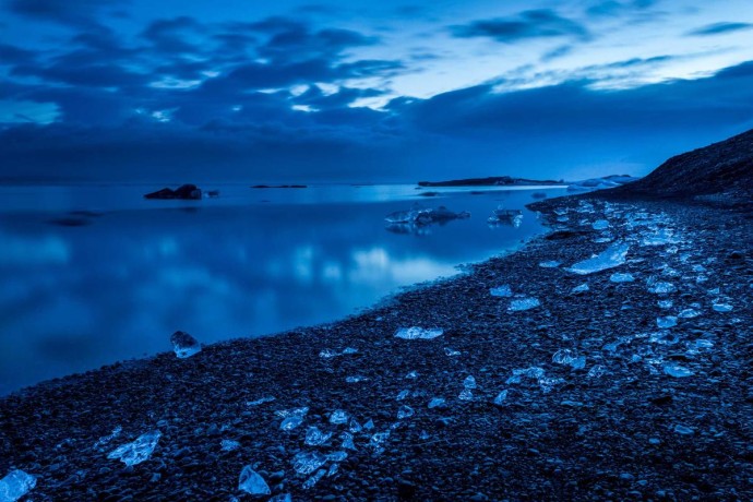 Executive Sedan - Buses & Minibus #5980