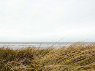 Custom Truck - Buses & Minibus #3281