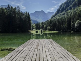 Premium SUV - Buses & Minibus #8628