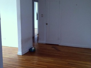 Premium SUV - Buses & Minibus #3605