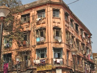 Performance Vehicle - Heavy Equipment #1146