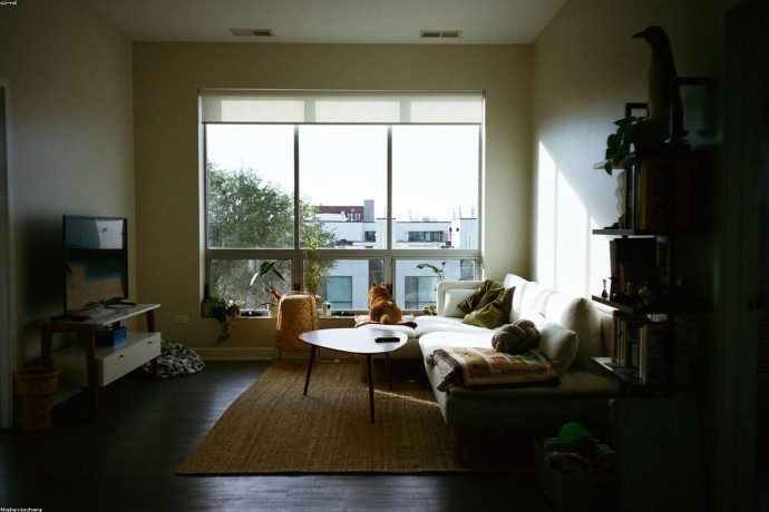 Convertible Coupe - Motorcycles & Scooters #2705