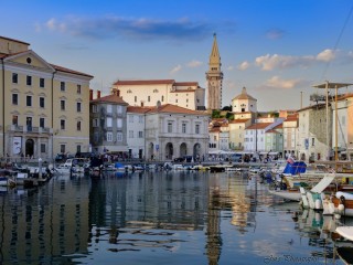 Catamaran - Premium Quality #3080