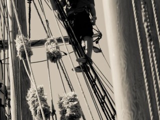 Catamaran - Premium Quality #3080