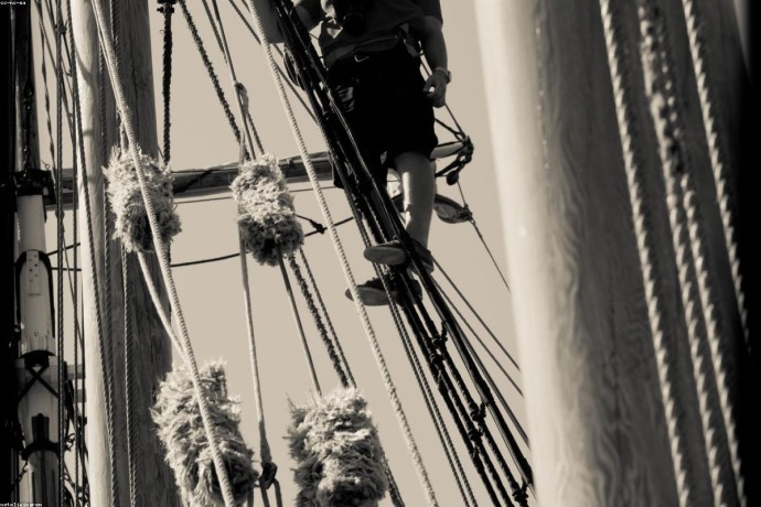 Catamaran - Premium Quality #3080