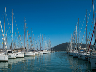 Catamaran - Premium Quality #2955