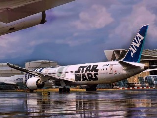 Light Jet - Executive Travel #2325