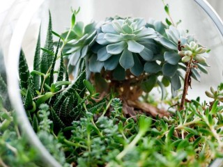 dubai-luxury-car-featured-5