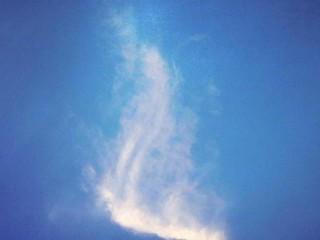 dubai-cars-listing-extra-1