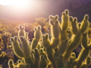 dubai-cars-listing-extra-4