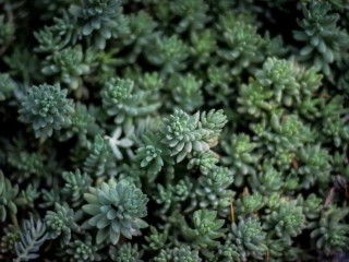 dubai-private-jet-featured-2