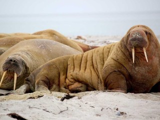 dubai-yacht-featured-5