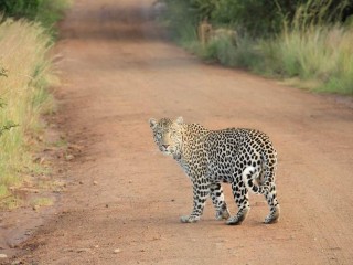 dubai-yacht-featured