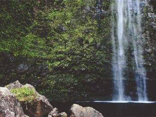 dubai-commercial-listing-2