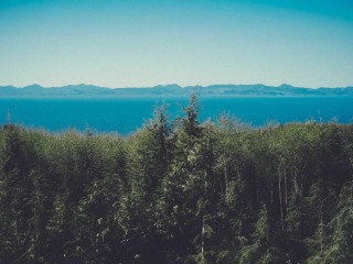 dubai-rent-listing-4